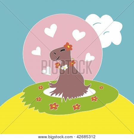 Capybara i kærlighed