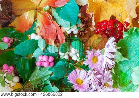 Vibrant Autumn Mabon Festival Leaves Pattern And Blossom Flowers Background.