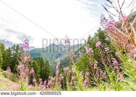 Mountain Panorama From Fiescheralp And Bettmeralp, Wallis, Switzerland