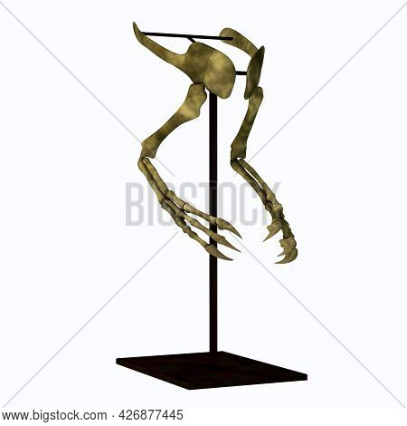 Deinocheirus Arm Bones 3d Illustration - Deinocheirus Was A Carnivorous Theropod Dinosaur That Lived
