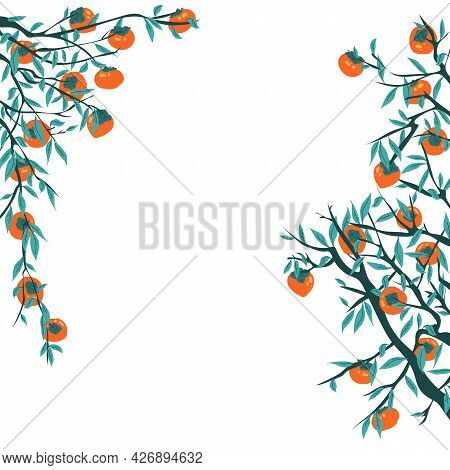 Persimmon Tree Branches With Fruits And Leaves. Frame For Chuseok With Foliage And Autumn Harvest. K
