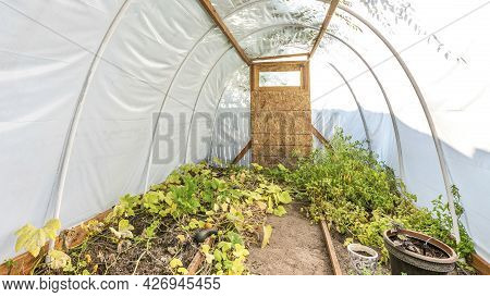 Pano Inside An Arched Greenhouse With Vegetables Planted Inside