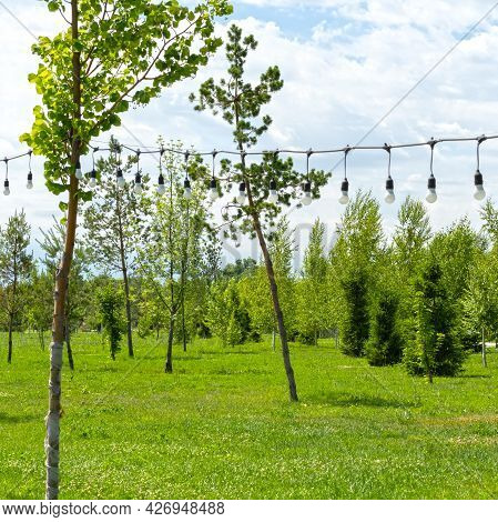 A Picturesque Glade With Grass And Trees, Decorated With A Garland