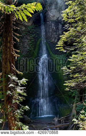 Marymere Falls Waterfall In Olympic National Park, Framed By Trees In The Sunshine, In The Lake Cres