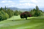 mexikanische Golfplatz