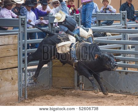 Gallup, Indian Rodeo