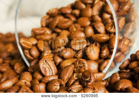 Næroptagelse af kaffebønner