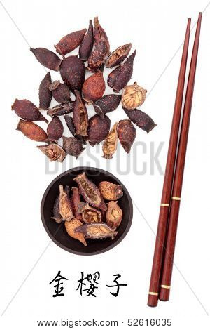 Cherokee rose hip fruit used in traditional chinese herbal medicine with mandarin title script translation and chopsticks. Jin yin zi. 