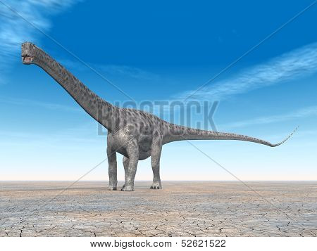 Dinosaur Diplodocus