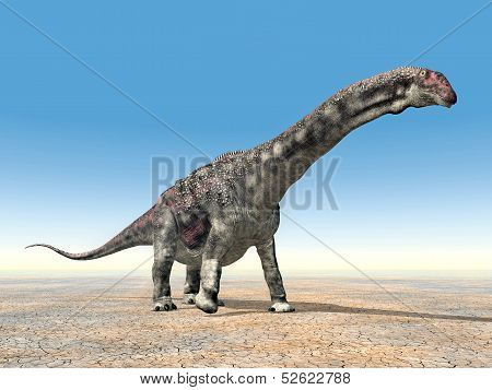 Dinosaur Diamantinasaurus