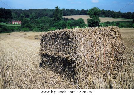 ก้อน Hay ในฟิลด์