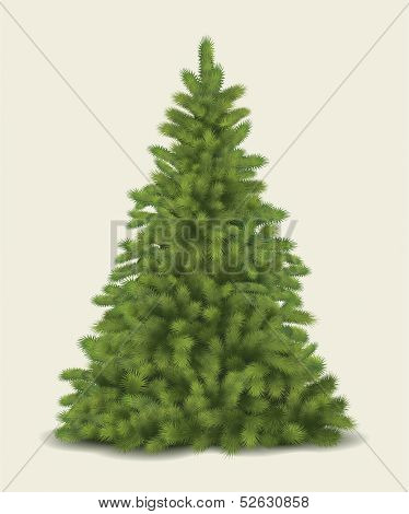 Christmas tree. Vector