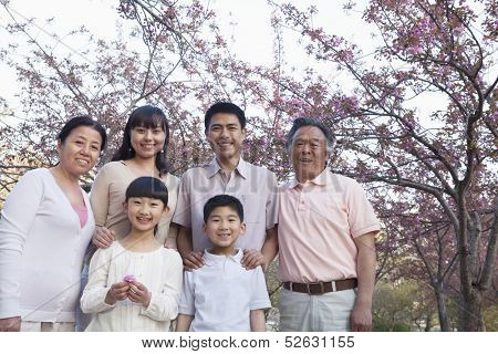 Portrait of a smiling multi-generational family amongst the cherry trees 