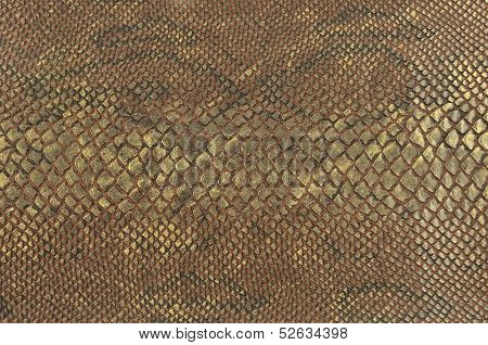Colour Snake Skin Texture Background