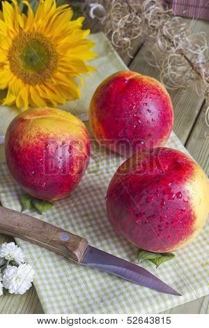 Still Life Of Three Peaches