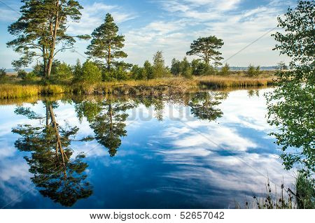 Reflections On A Calm Swamp Lake