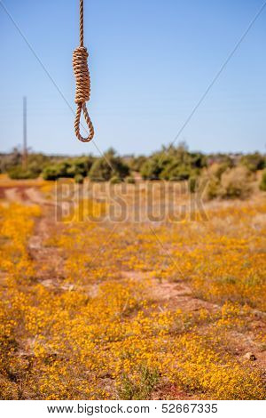 Country Justice