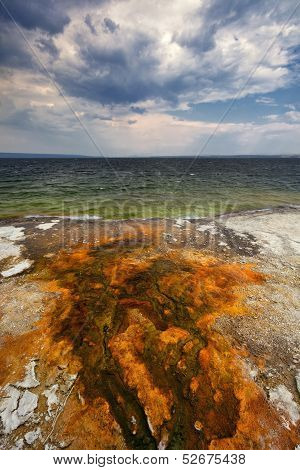 Colorful Bacteria Mats Form In Hot Water Runoff