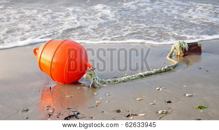 Boyko on the beach