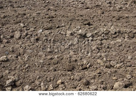 Background Soil Plowed