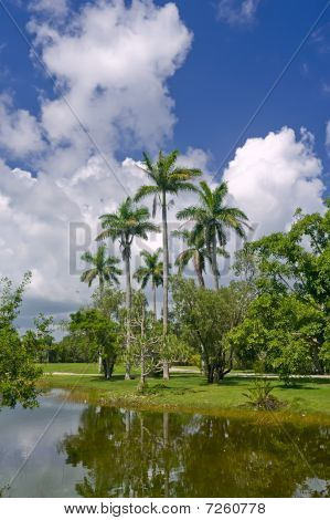 Fairchild tropiske botaniske have