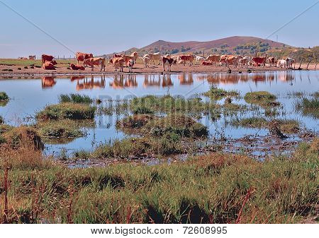 The scenery in West Sichuan