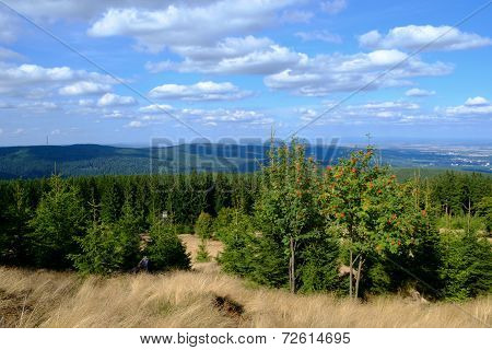 Lookout From The Peak Of The Altkoenig Mountain