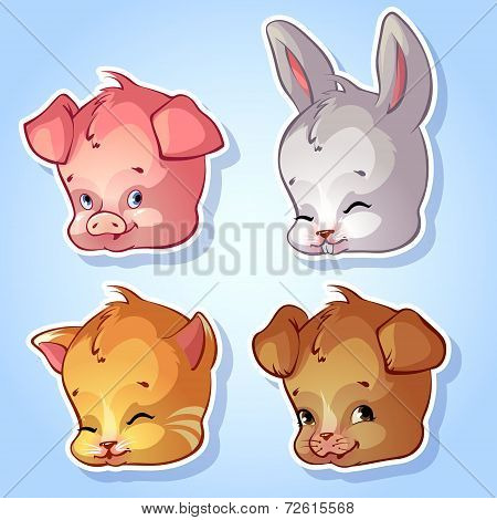 Cute animals