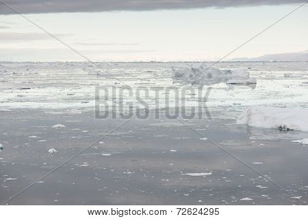 Arctic Seascape In Greenland