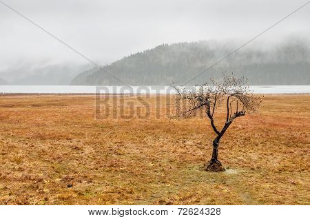 China Winter Landscape