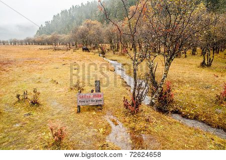 China Winter Landscape