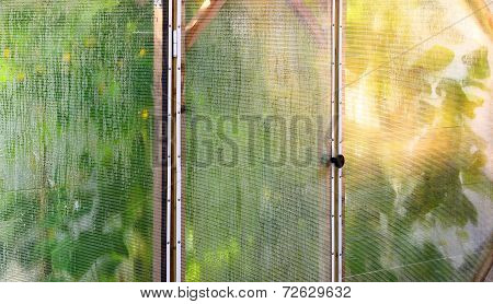 Abstract Background. Film Hotbed