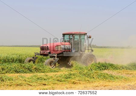 Cally Ag
