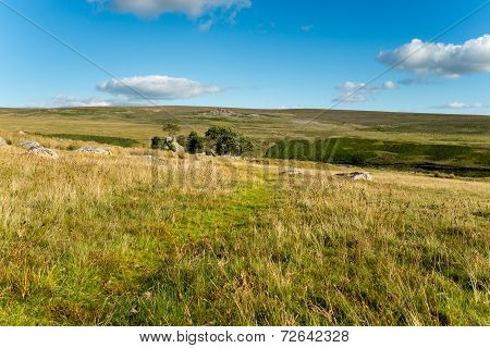 Dartmoor National Park