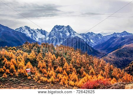 mountain autumn landscape