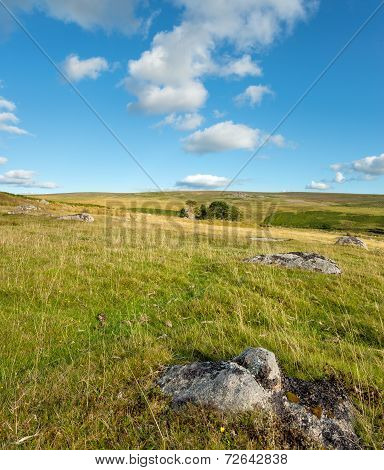 Dartmoor National Park