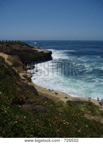LaJolla Shore5