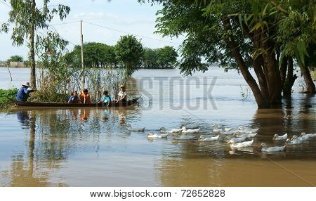 Flooded Vietnamese Countryside