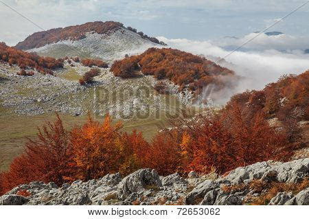 The Mehedinti Mountains