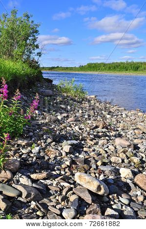 Coast North Of The River In  Summer.