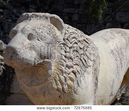 Bust of lion inTemple of Apollo Didim