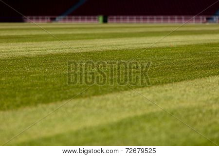 Soccer Pitch