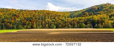 Rock Formation Twelve Apostles In Bavaria