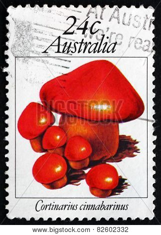 Postage Stamp Australia 1981 Cortinarius Cinnabarinus, Mushroom
