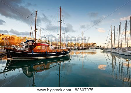 Zea marina, Athens.