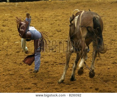 Barebackrider1