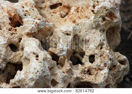 Perforated Stone