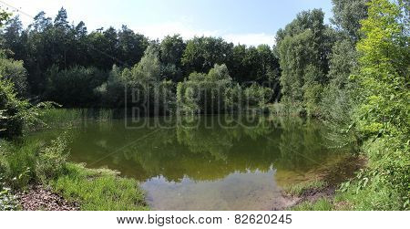 Idyllic Small Lake In The Forest