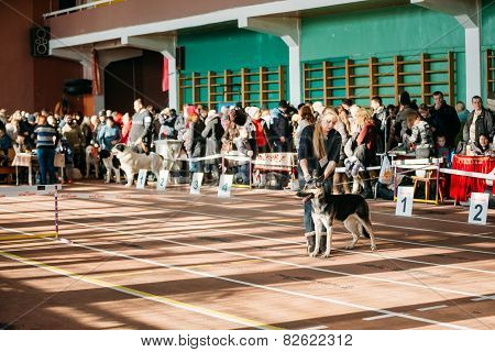 People and dogs visit Palace athletics exhibition  -Internationa