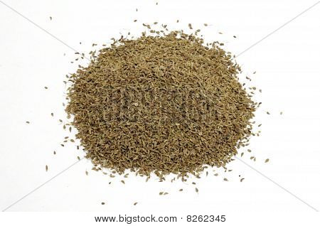 Pimpinella Anisum